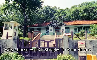 Why Choose Asphalt Shingles for Your Home?