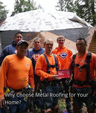 Why Choose Metal Roofing for Your Home?