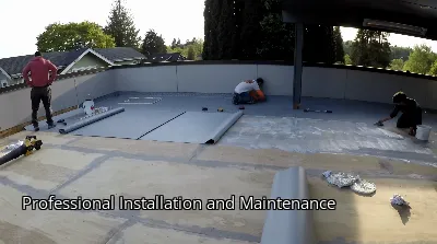 Professional Installation and Maintenance