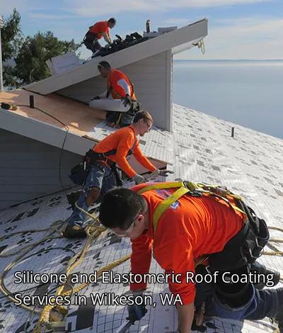 Silicone and Elastomeric Roof Coating Services in Wilkeson, WA