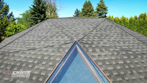 puyallup geodesic roof dome