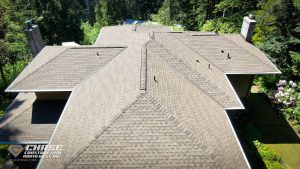 burien timberline hdz shingles