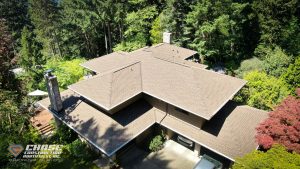 burien timberline hdz shingles