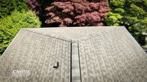 burien timberline hdz shingles
