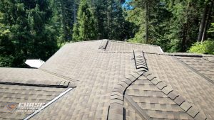 burien timberline hdz shingles