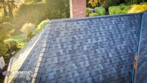 edgewood gaf grand sequoia