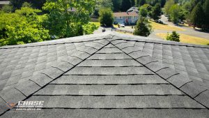 puyallup geodesic roof dome