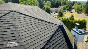 puyallup geodesic roof dome